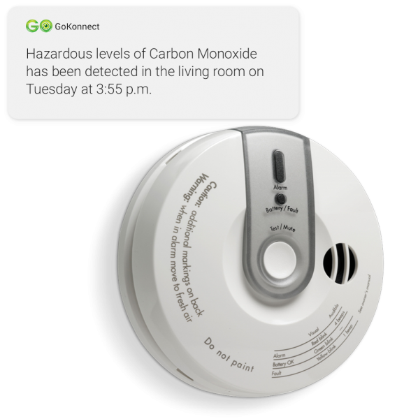 Carbon Monoxide Alarm | GoKonnect